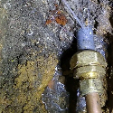 Absolutely Plumbing - Water Leaks